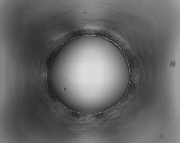 X0000102491061200808221725