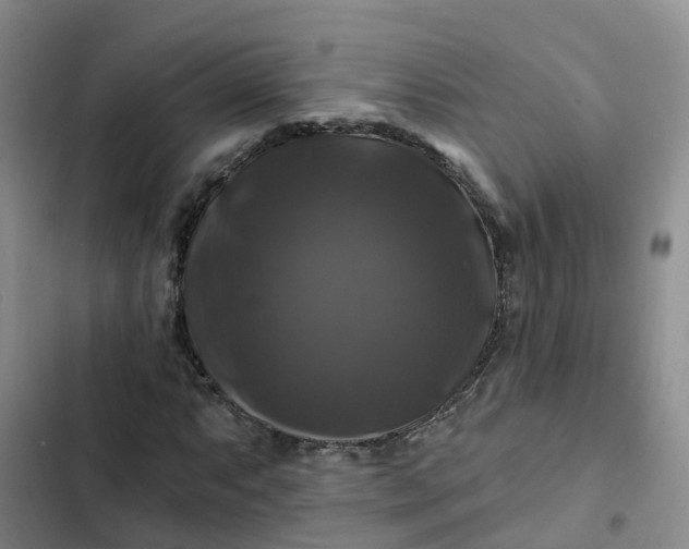 X0000102491063200808221725