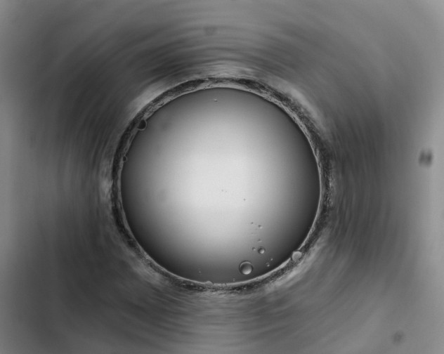 X0000102491065200808221725