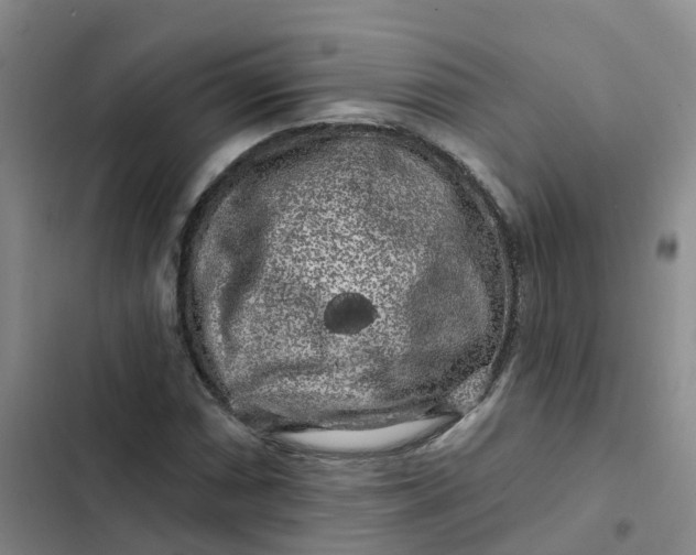 X0000102491066200808221725