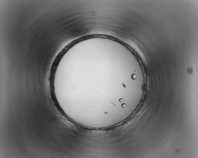 X0000102491068200808221725