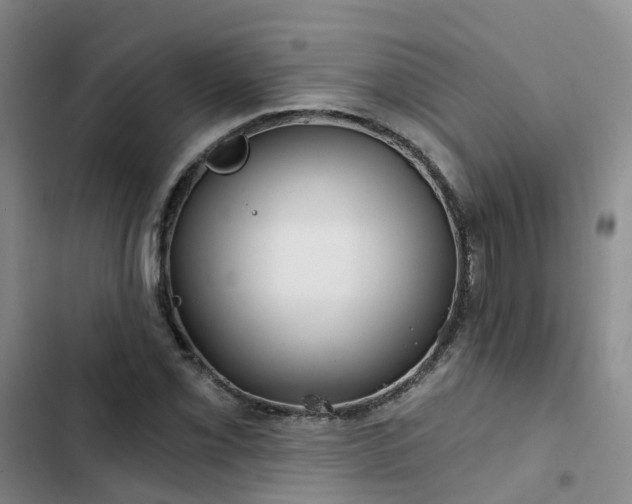 X0000102491069200808221725