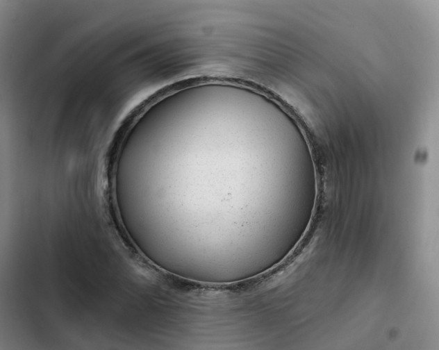 X0000102491070200808221725