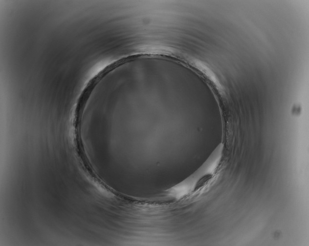 X0000102491071200808221725