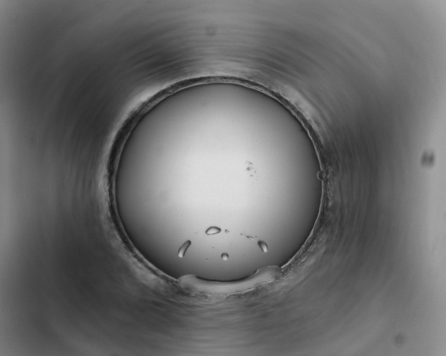 X0000102491072200808221725