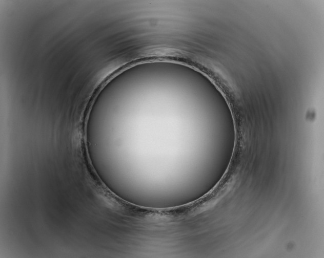 X0000102491073200808221725