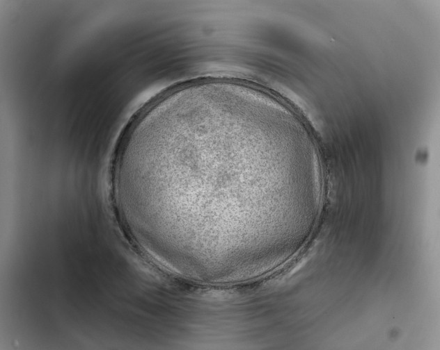 X0000102491074200808221725