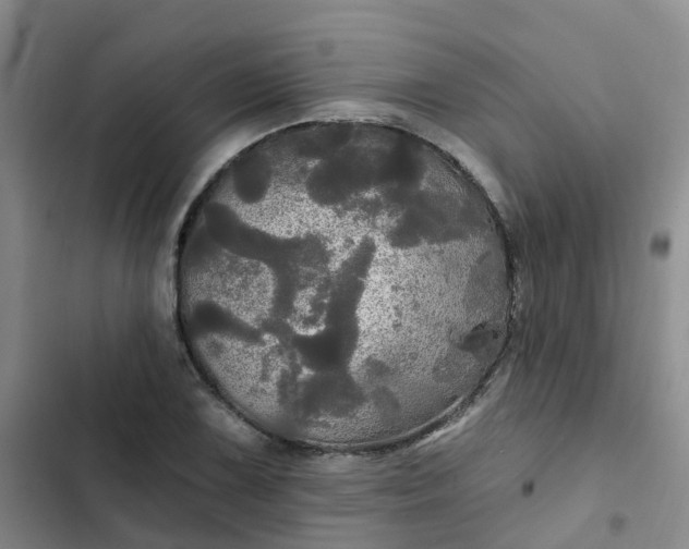 X0000102491075200808221725