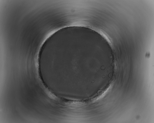 X0000102491077200808221725