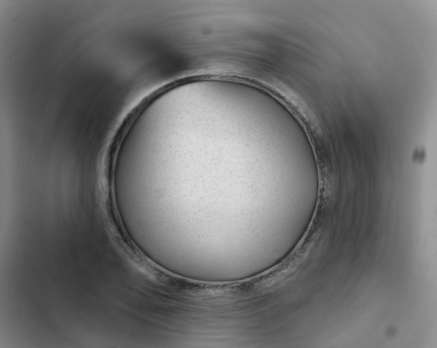 X0000102491078200808221725