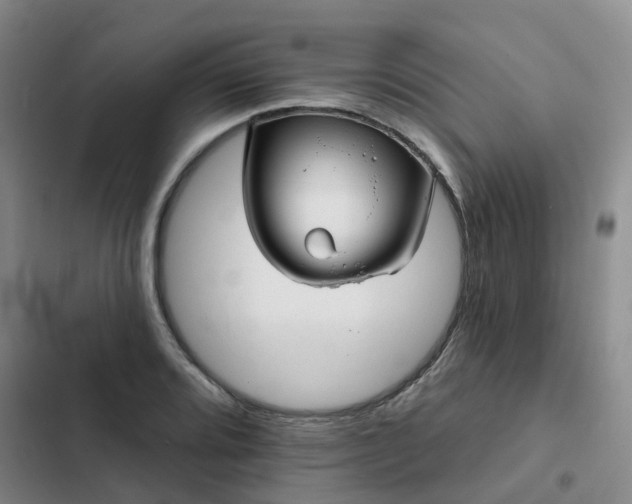 X0000102491080200808221725