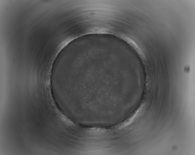 X0000102491081200808221725