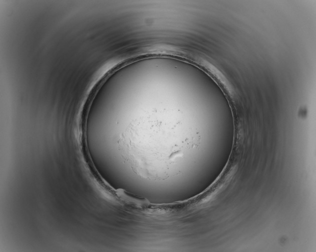 X0000102491082200808221725