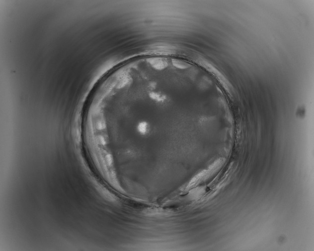 X0000102491083200808221725