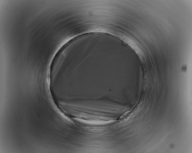 X0000102491084200808221725