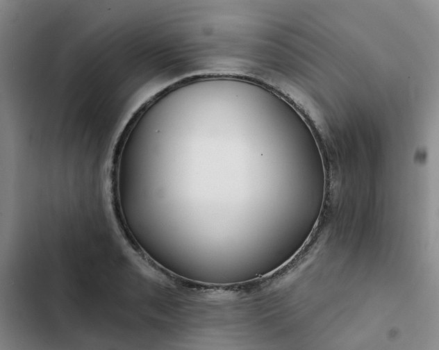 X0000102491085200808221725