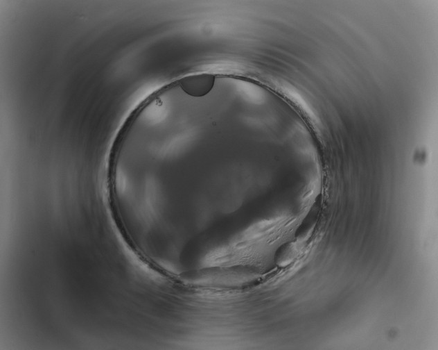 X0000102491087200808221725