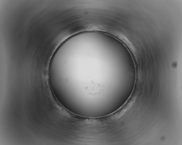 X0000102491089200808221725