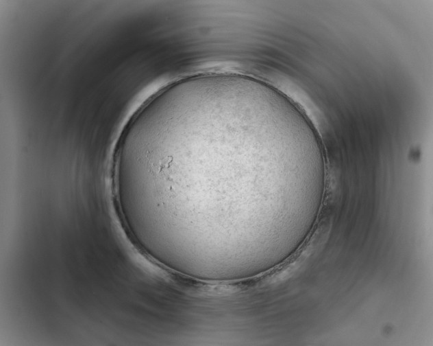 X0000102491090200808221725