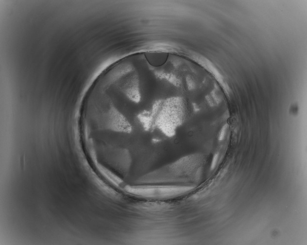 X0000102491091200808221725