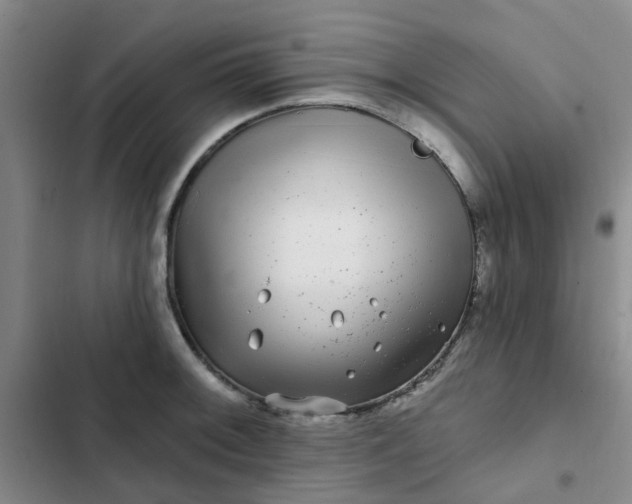 X0000102491092200808221725