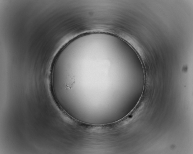 X0000102491093200808221725