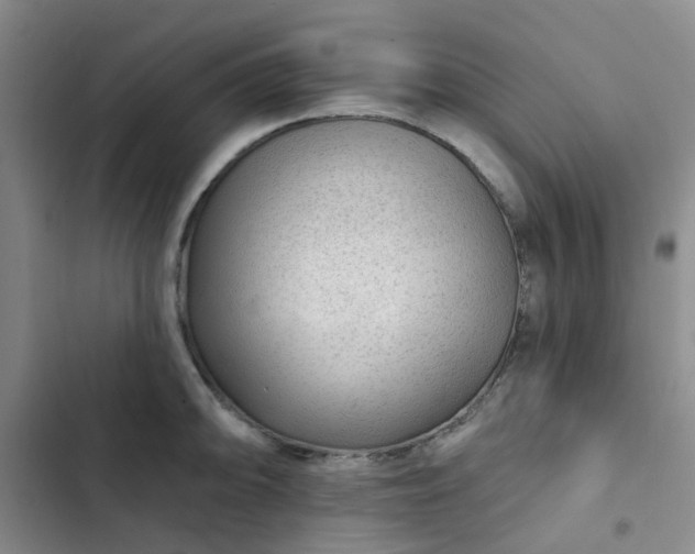 X0000102491094200808221725