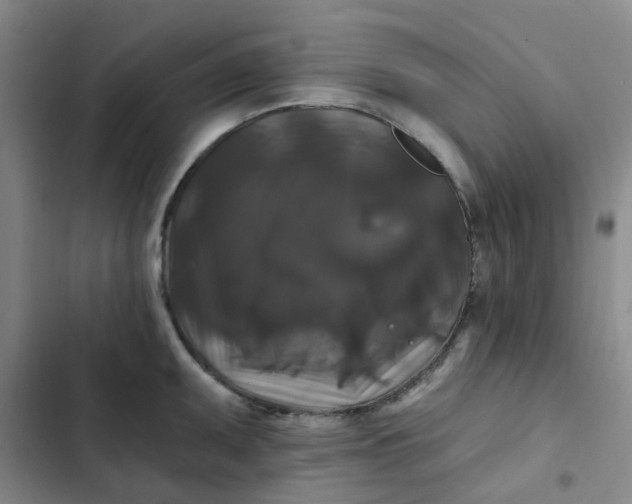 X0000102491095200808221725