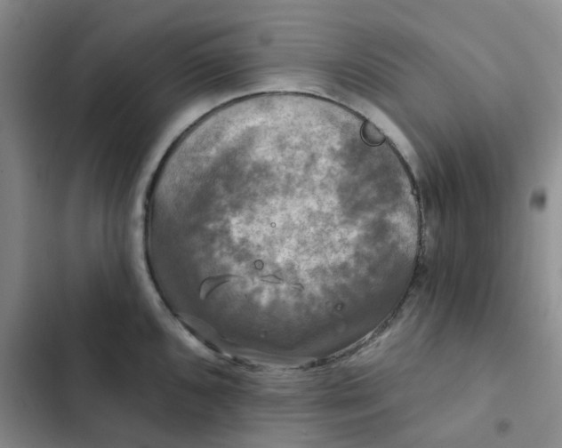 X0000102491096200808221725