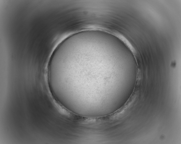 X0000102491098200808221725