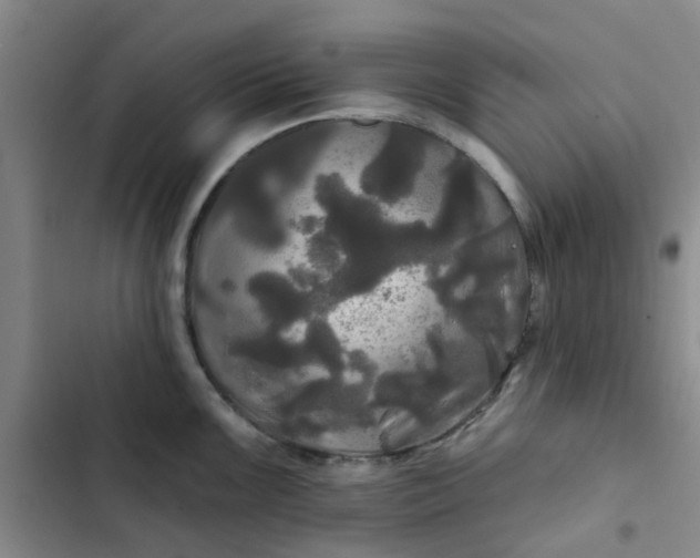 X0000102491099200808221725