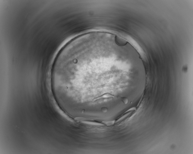 X0000102491100200808221725