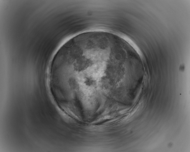 X0000102491101200808221725