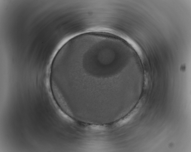 X0000102491102200808221725