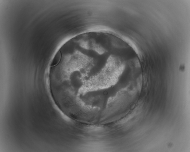 X0000102491103200808221725