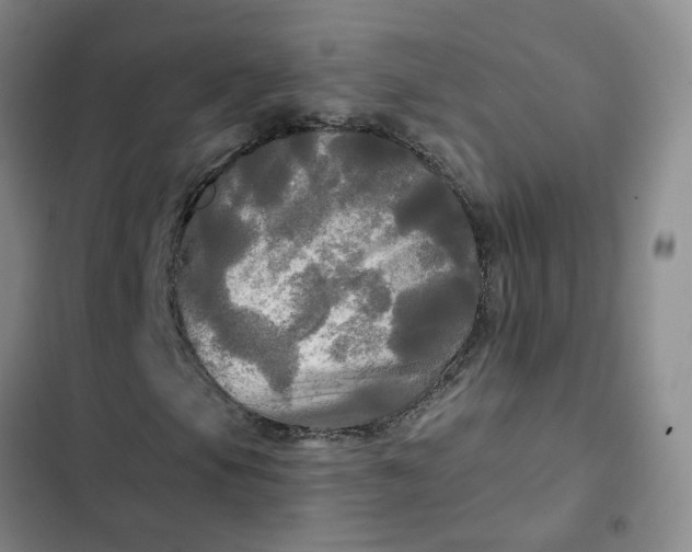 X0000102491105200808221724