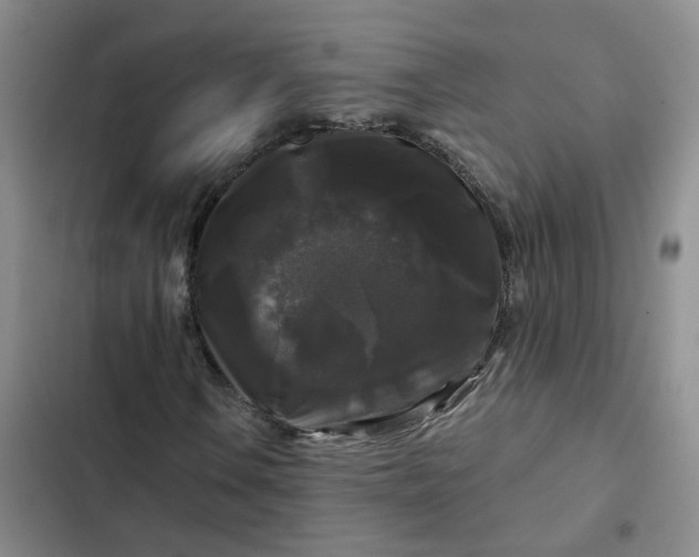 X0000102491106200808221724