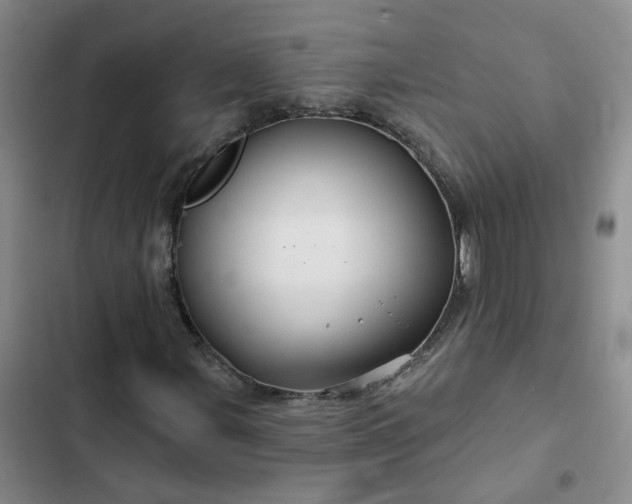 X0000102491107200808221724