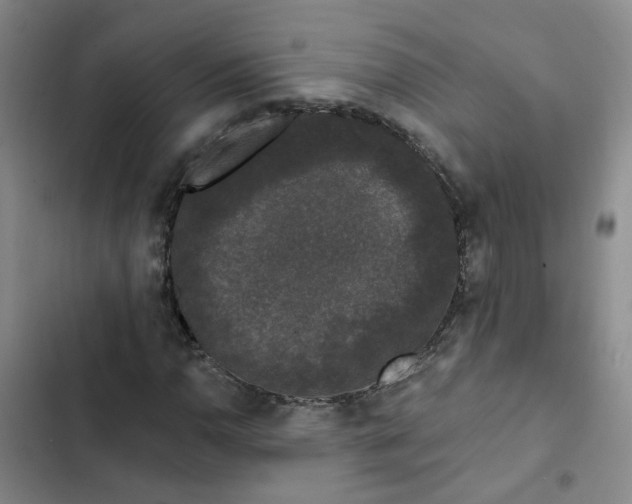 X0000102491110200808221724