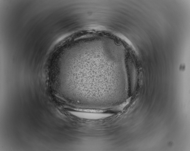 X0000102491112200808221724