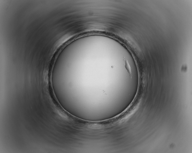 X0000102491113200808221724