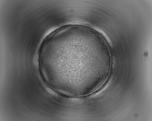 X0000102491114200808221724