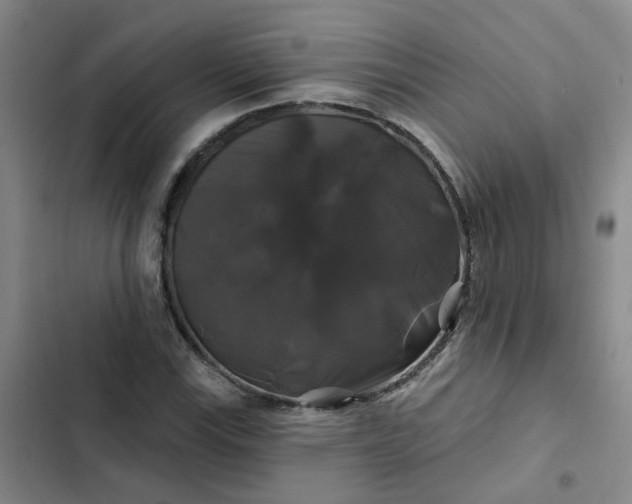 X0000102491115200808221724