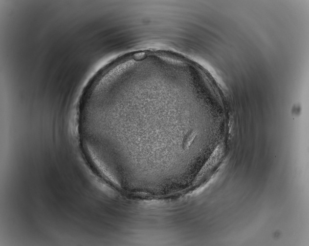 X0000102491118200808221724