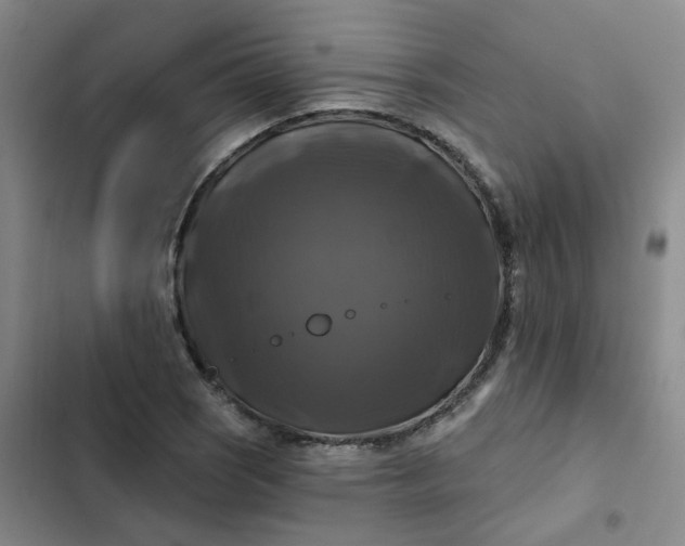 X0000102491121200808221724