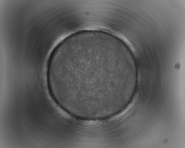 X0000102491122200808221724