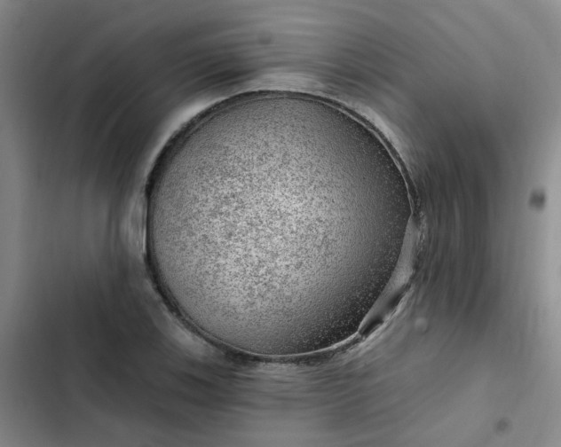 X0000102491123200808221724