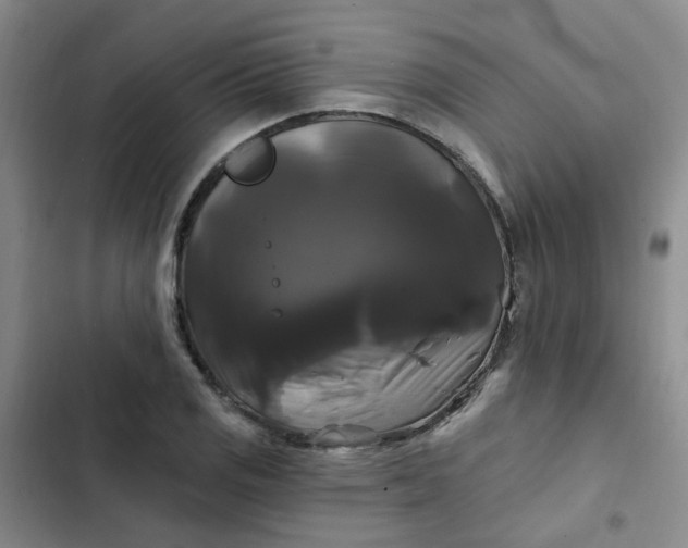 X0000102491125200808221724