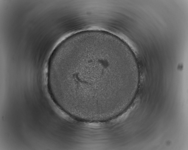 X0000102491126200808221724