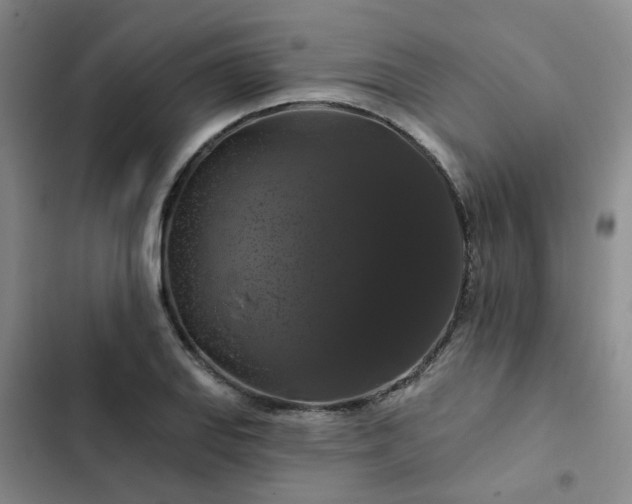 X0000102491127200808221724